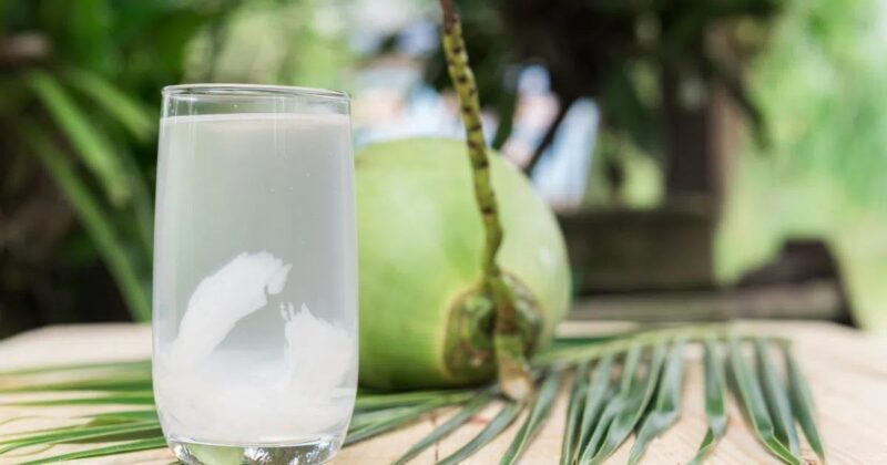 Nước dừa giúp làm chậm quá trình lão hóa