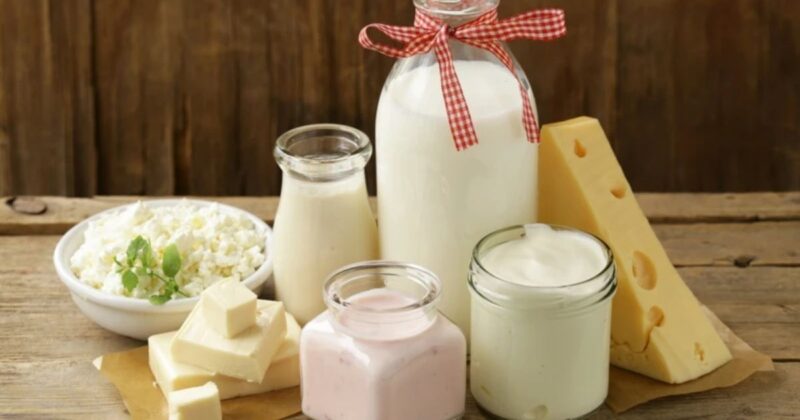 Sữa tươi không đường và các chế phẩm từ sữa