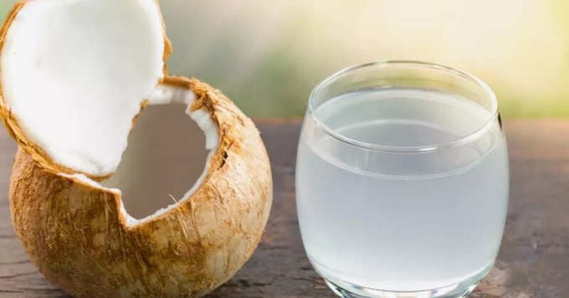 Thành phần dinh dưỡng ưu việt có trong nước dừa