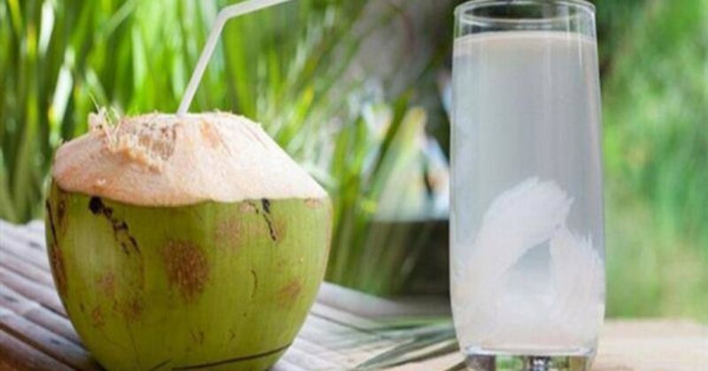 Uống nước dừa có tác dụng gì đối với các hệ cơ quan