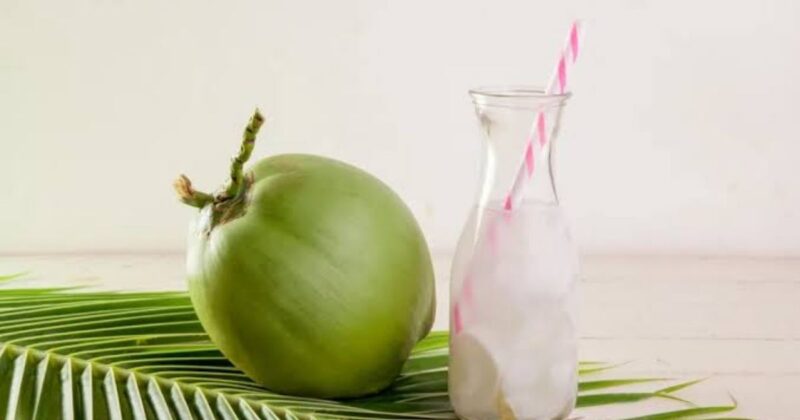 Uống nước dừa mỗi ngày có thực sự an toàn